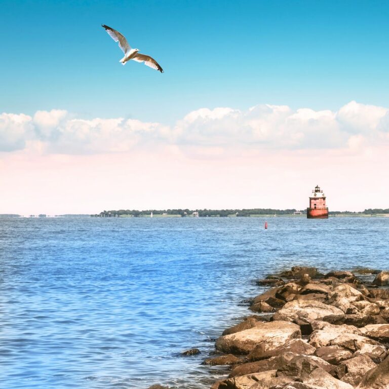 Tilghman Island Maryland: Best Things To Do 2023