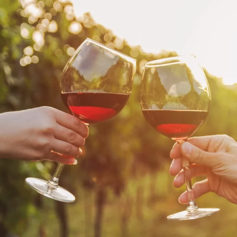24 Best Maryland Wineries & Vineyards To Visit 2024
