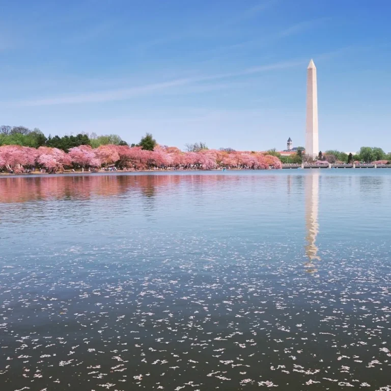 Washington DC In April 2024: Events & Things To Do