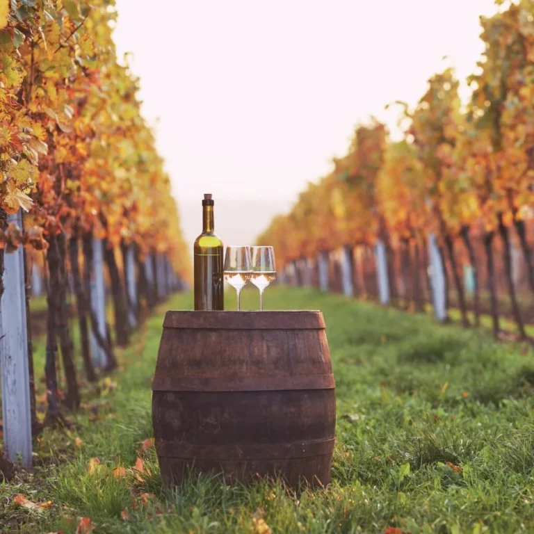 Best Wineries & Vineyards Near Annapolis MD 2024
