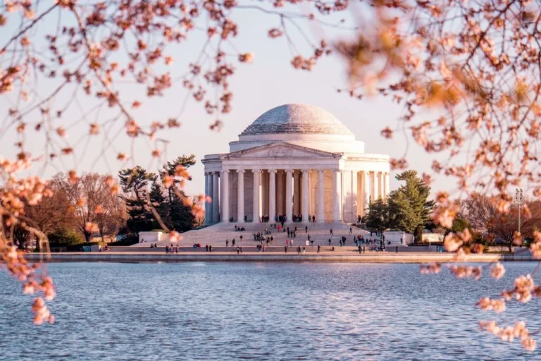 Visit Washington DC In January: Complete 2024 Guide