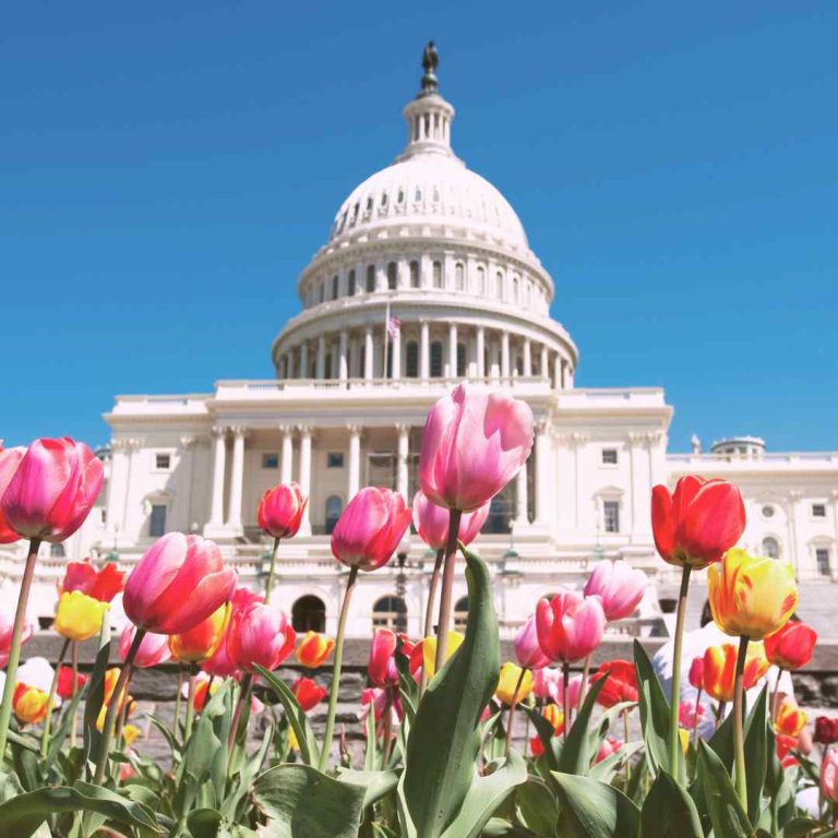 Visit Washington DC In May: Complete 2024 Guide